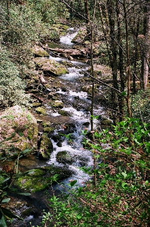 [Multi-layered water feature.]